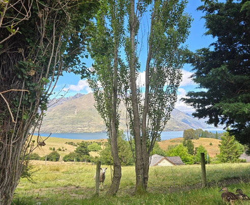 Deer Park Heights-皇后镇必去景点