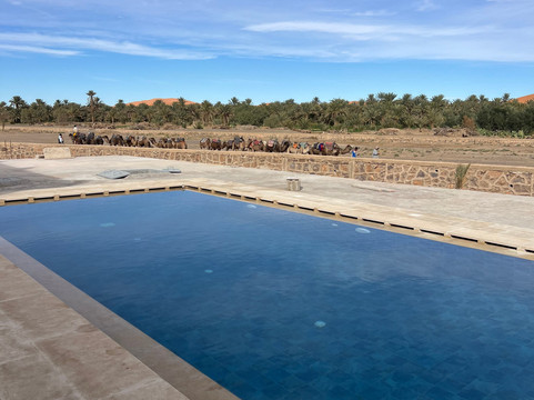 梅尔祖加的里亚德莱斯加登主图