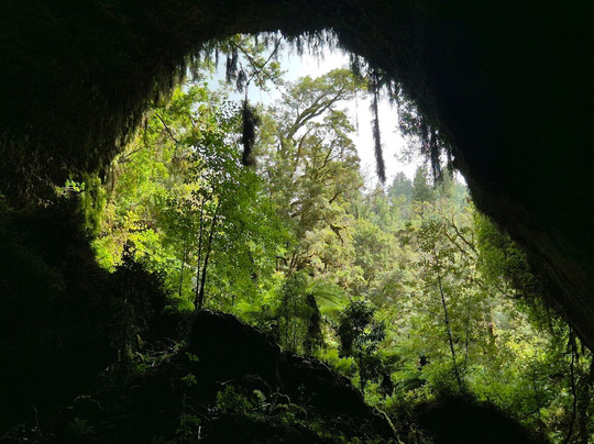 Underworld Adventures Ltd-Charleston必去景点