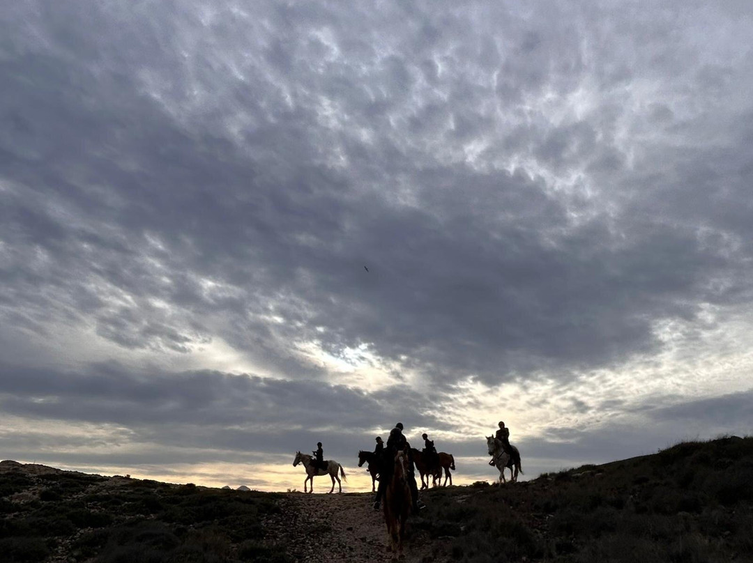 Cabacci Horse Trails-圣何塞必去景点