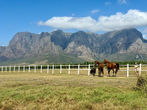Zorgvliet Wine Estate-斯泰伦博斯必去景点