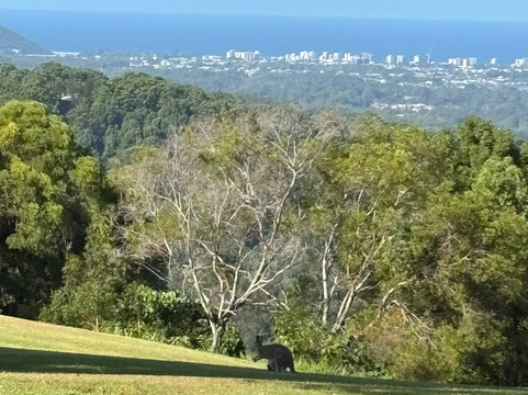 Gwinganna Retreat & Spa主图