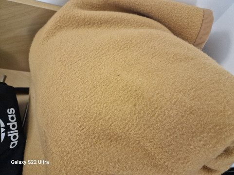 森特姆宫假日酒店主图