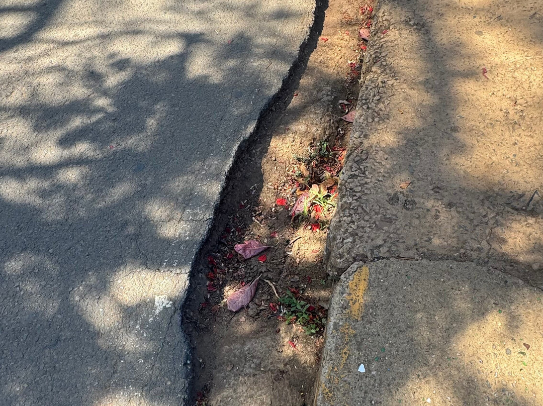 Vila dos Remedios-费尔南多-迪诺罗尼亚群岛必去景点