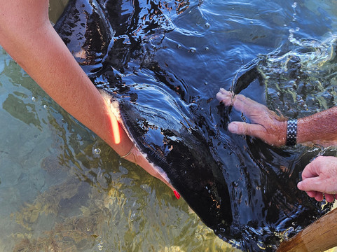 Dive Tatapouri-Gisborne Region必去景点