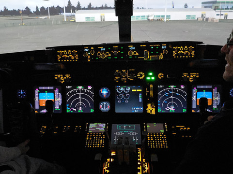 Sandpiper Flight Simulator-Somersham必去景点