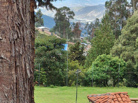 San Jorge Eco-Lodge & Botanical Reserve主图