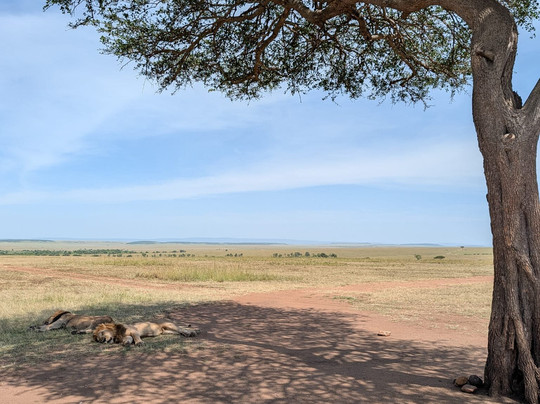 Totti Kenya-安博塞利国家公园必去景点