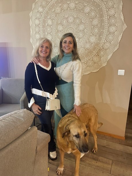 卡皮娜第五大桥酒店-官方