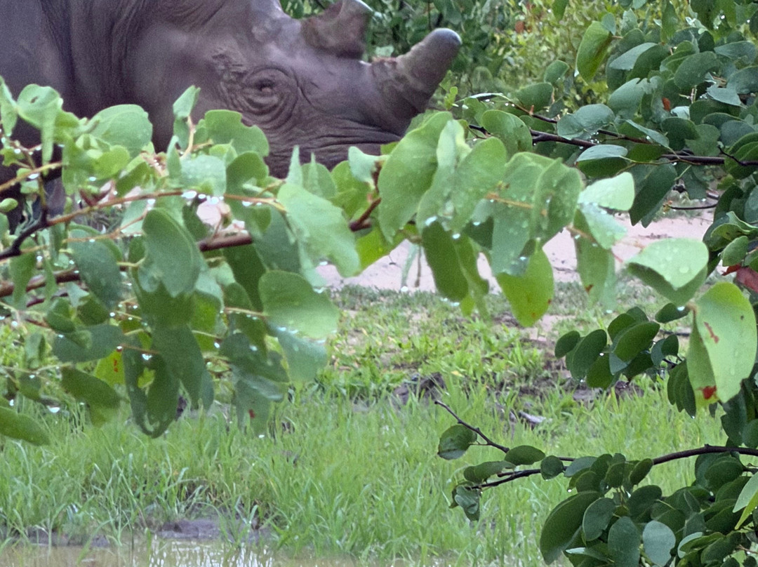 The Stanley and Livingstone-维多利亚瀑布必去景点