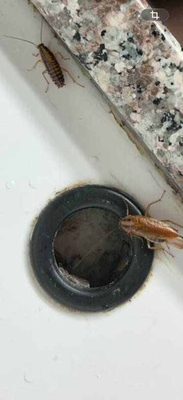 威尔克斯伯纳温德姆戴斯旅馆主图