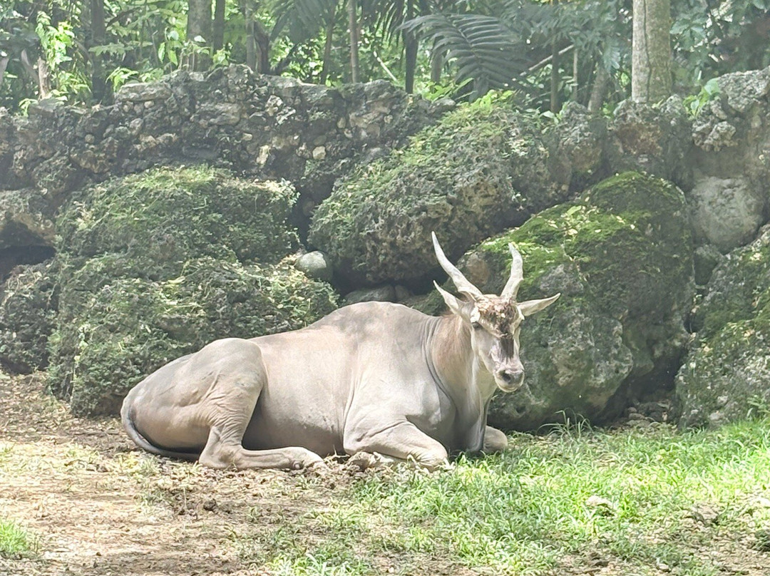 National Zoological Park-圣多明哥必去景点