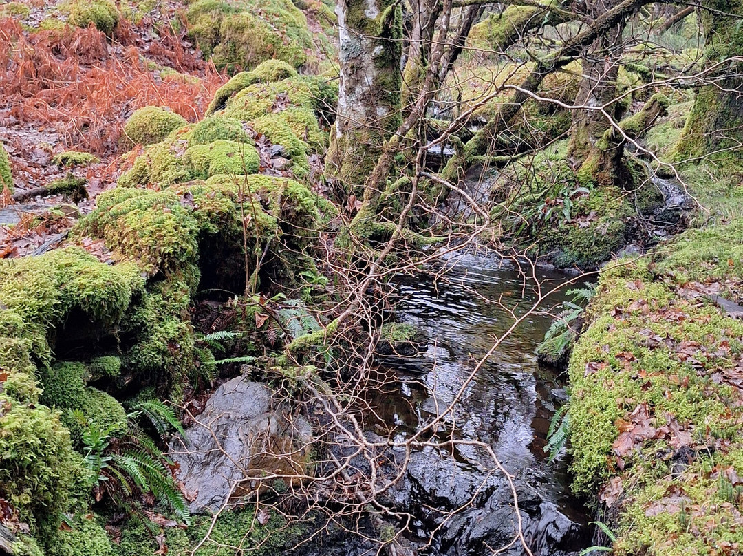 Ty Capel-Betws-y-Coed必去景点