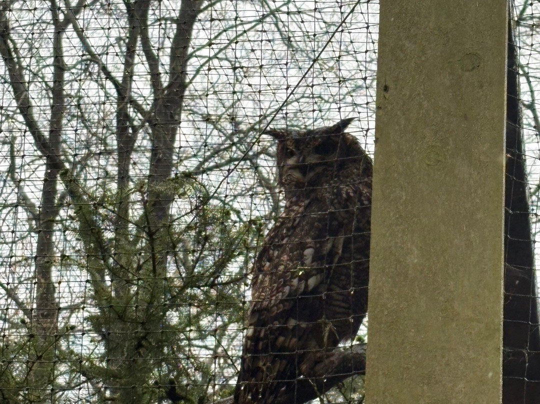 World of Owls-Randalstown必去景点