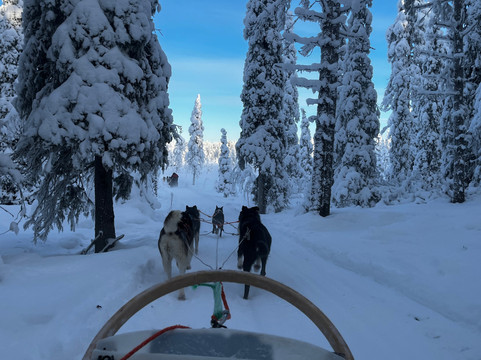 Era-Susi Huskies - Day Tours-Rukatunturi必去景点