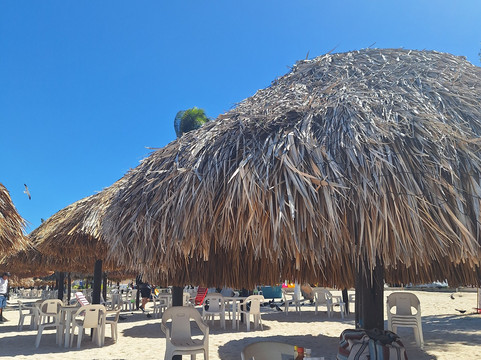 Playa Progreso-Progreso必去景点