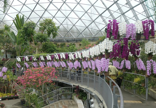 Tottori Hanakairo-Flower Park-南部町必去景点