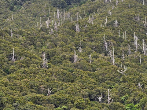 Pelorus Mail Boat-哈夫洛克必去景点