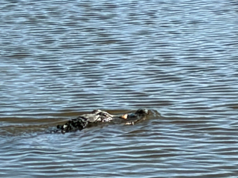 Louisiana Tour Company-Marrero必去景点