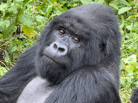 Heaven Experiences-吉佳利必去景点