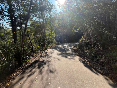 香港仔郊野公园-香港必去景点