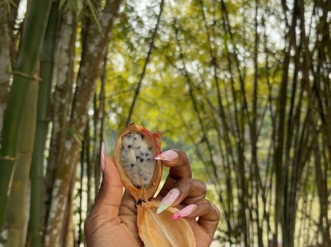 Le Guide Du Congo-Pointe Noire必去景点