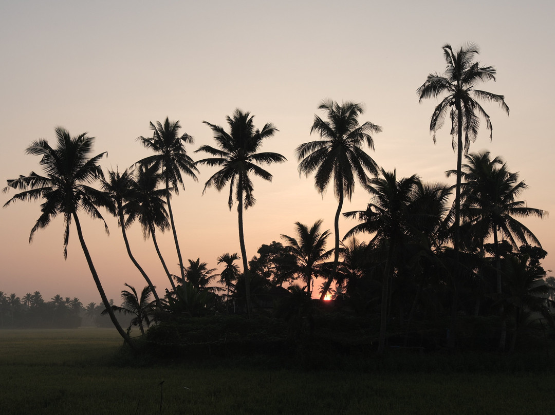 Nelpura Heritage Homestay主图