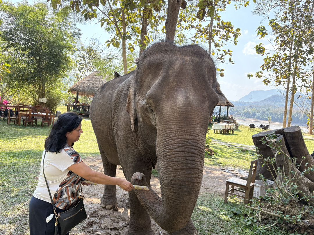 Discover Laos Today (Luang Prabang)-琅勃拉邦必去景点