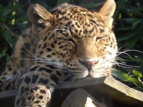 Landgoed Hoenderdaell-Anna Paulowna必去景点