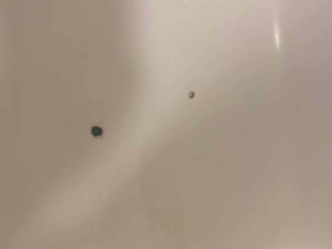 圣达菲拉昆塔温德姆酒店主图