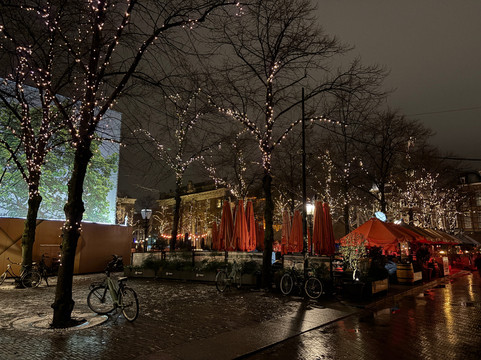 Het Plein-海牙必去景点