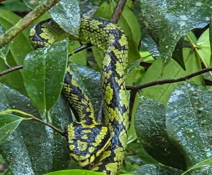 Best of Lanka-科伦坡必去景点