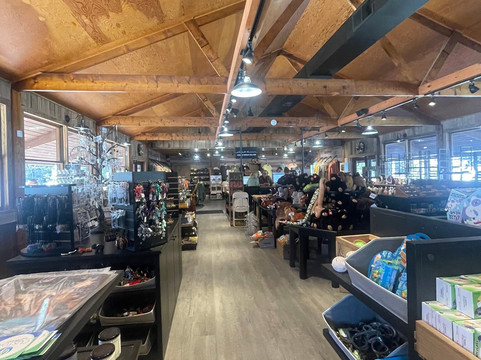 Blackwater Falls State Park-戴维斯必去景点