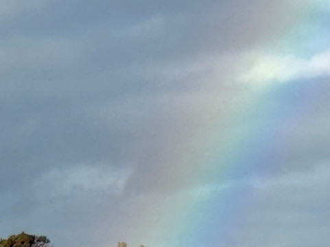 伯利兹福德阿姆斯酒店主图