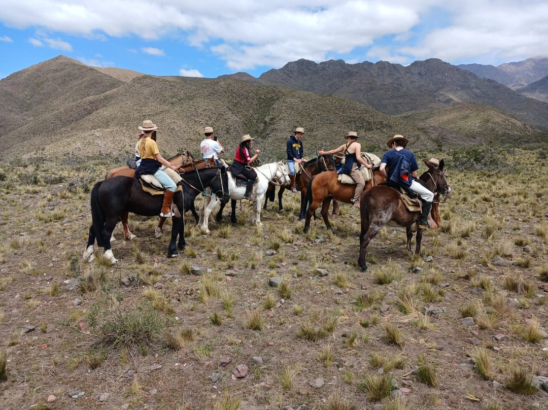 Cabalgatas Mendoza: Los Chacayes-门多萨必去景点
