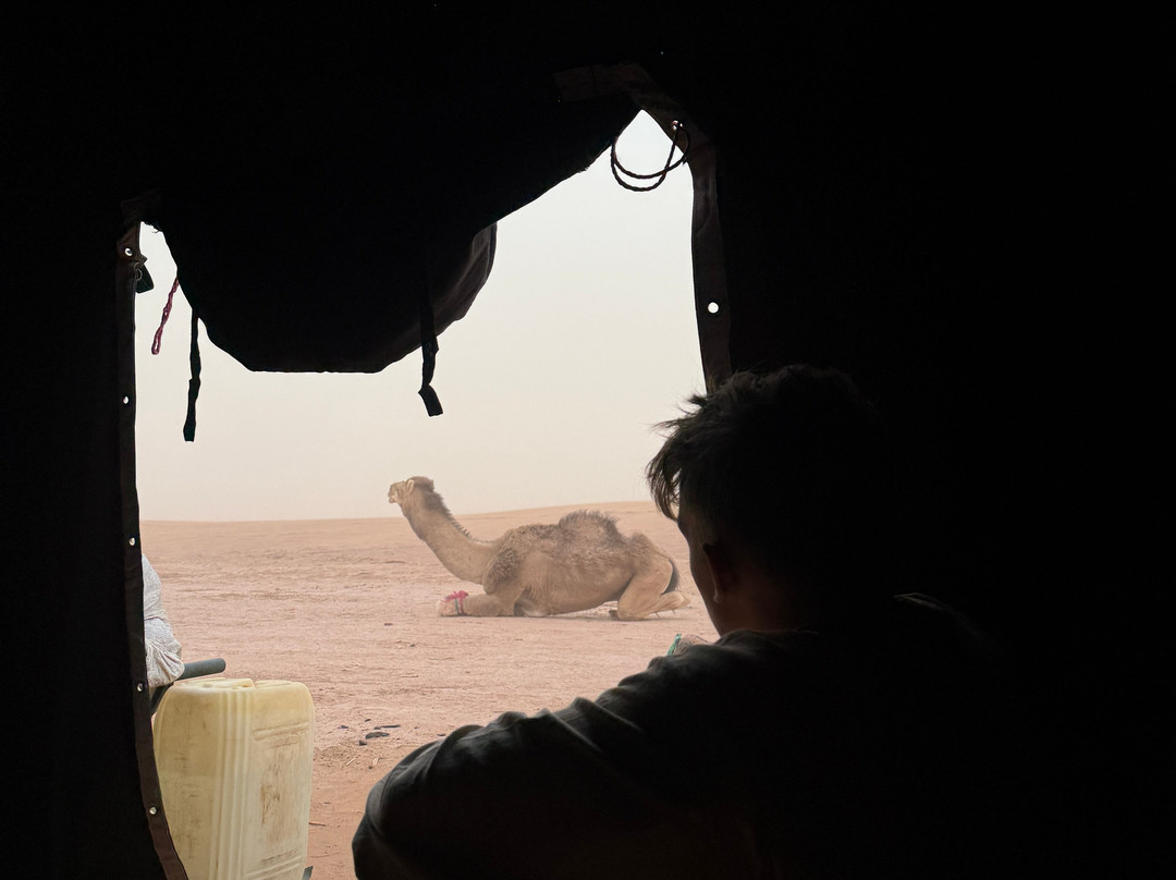 Sahara mystery-迈哈米德必去景点