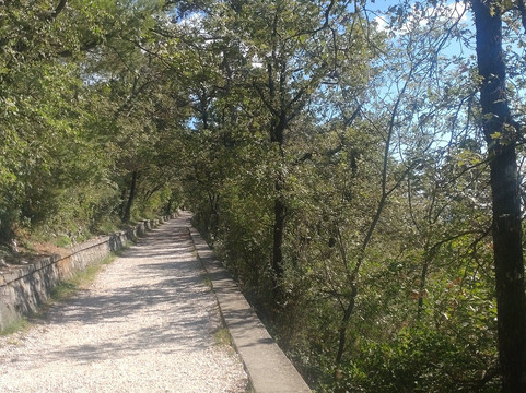 Strada Vicentina-的里雅斯特必去景点