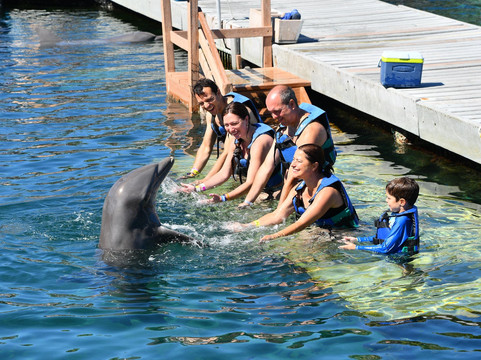 Delphinus Xcaret-普拉亚德尔卡曼必去景点