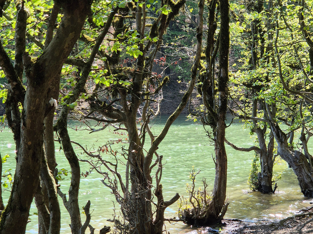 Khanbulanchay Reservoir-连科兰必去景点