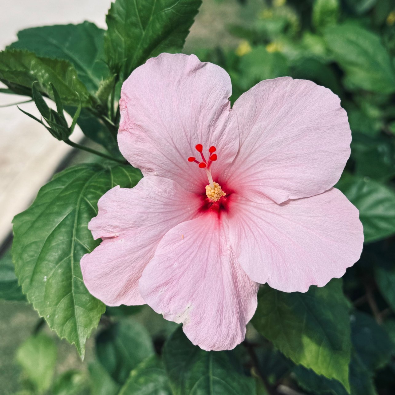 Sandals Dunn's River-浴室