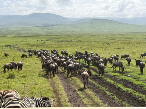Makasa Tanzania Safaris-莫西必去景点