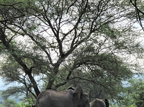 NICE ADVENTURE SAFARI-Dar es Salaam必去景点