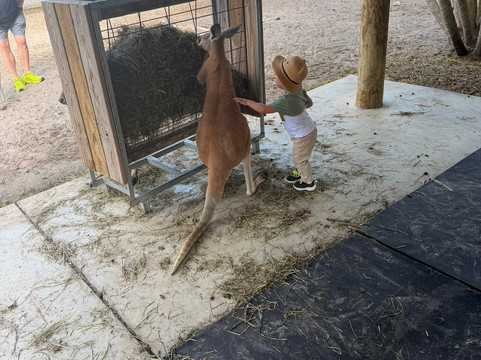 Animal Edventure Park-博因顿海滩必去景点