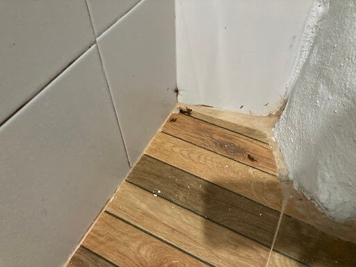 南贵族家庭花园度假胜地主图