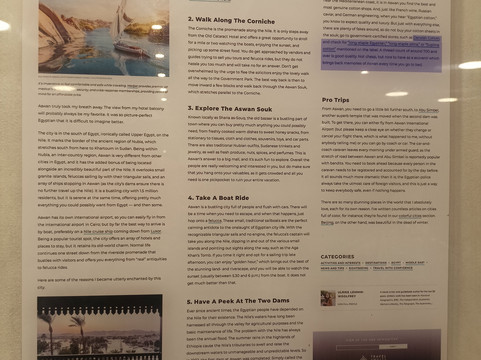 Darwish Cotton Store-亚斯文必去景点