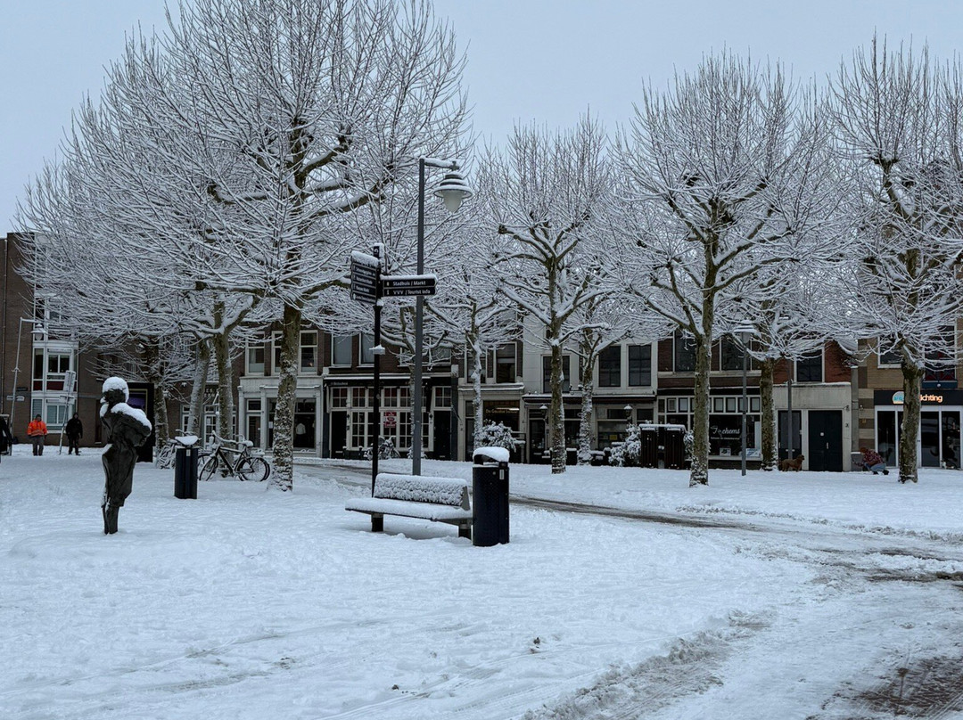 Stadhuis Gouda (City Hall)-高德必去景点