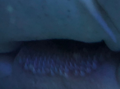 SEA LIFE Speyer-施派尔必去景点