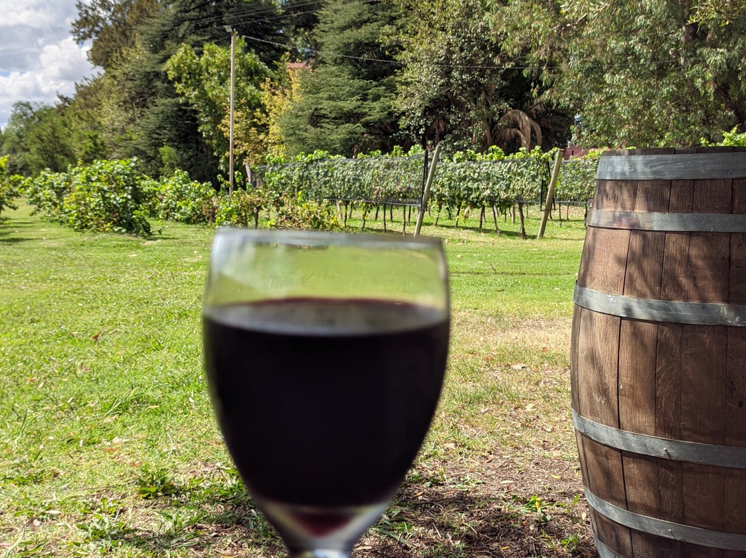 La Abeja Winery-圣拉斐尔必去景点