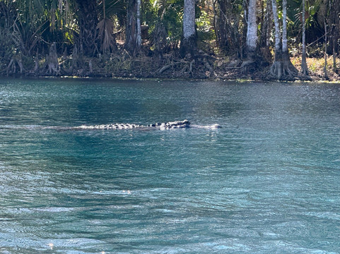 Silver Springs Kayaking LLC-Silver Springs必去景点