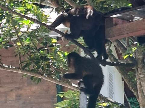 Fonte Dos Amores-Pocos de Caldas必去景点